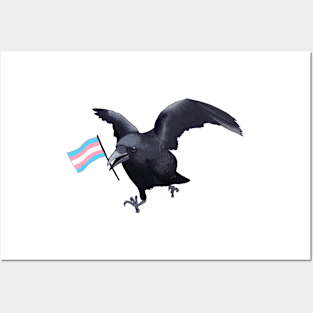 Transgender Pride Crow Friend Posters and Art